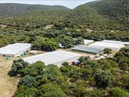 images/Q-cumberland Infrustructure/Ashante-Lodge-Q-Cumberland-Farming-Lephalale-Limpopo-infustracture.jpg